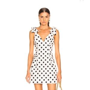 NWOT Zimmermann Polka Dot Dress